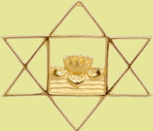 Symbol Aurobindo Messing 2 gelb. Hint. 0.5