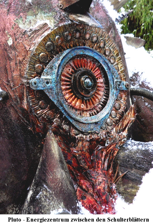 Pluto_hinteres Herzzentrum 3 0,3